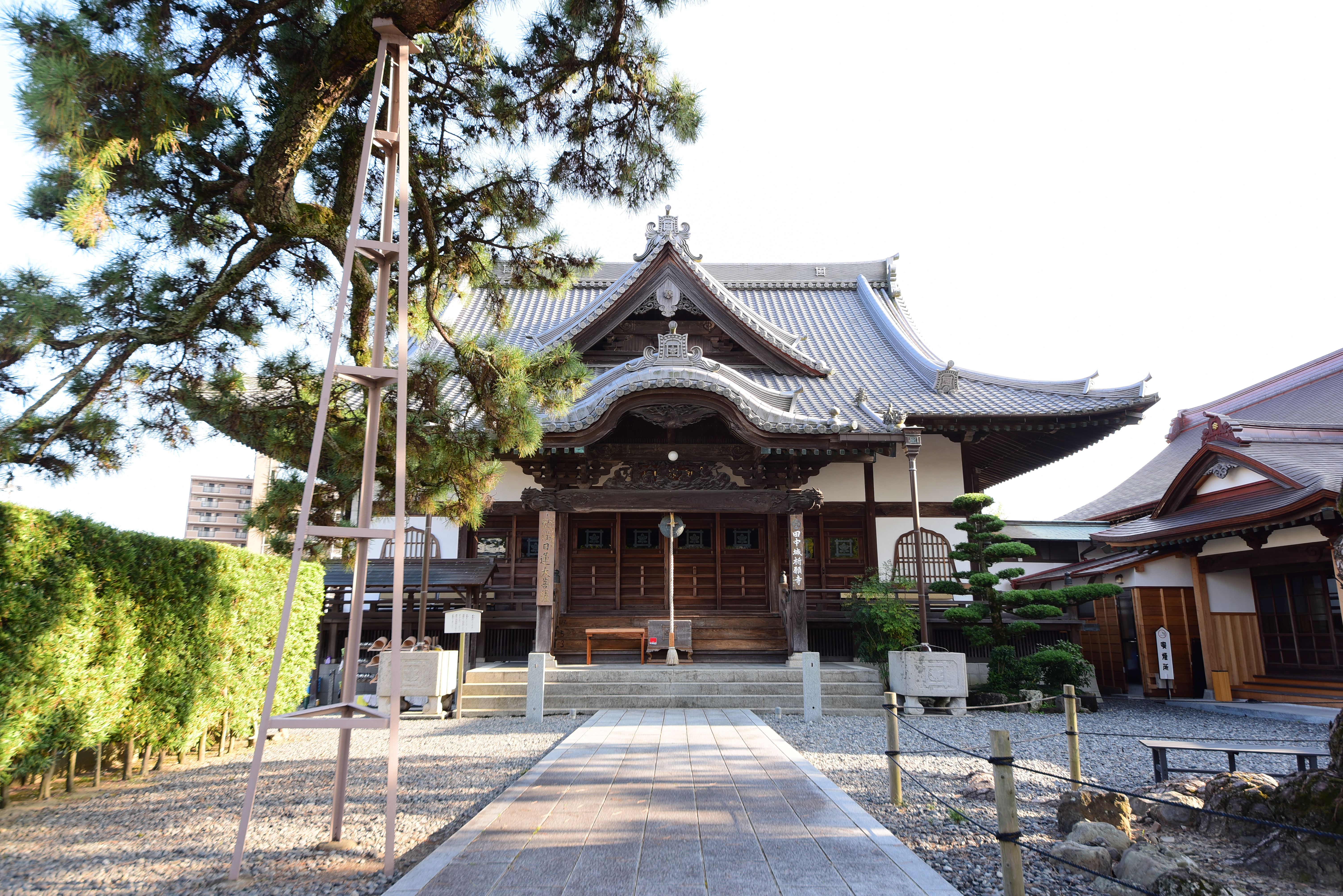 Temple Hotel 大慶寺