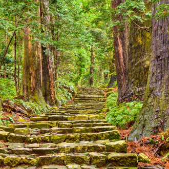 Proximity to Nature and Outdoor Activities