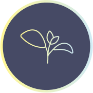 Achieve Work-Life Balance in Peaceful, Scenic Environments