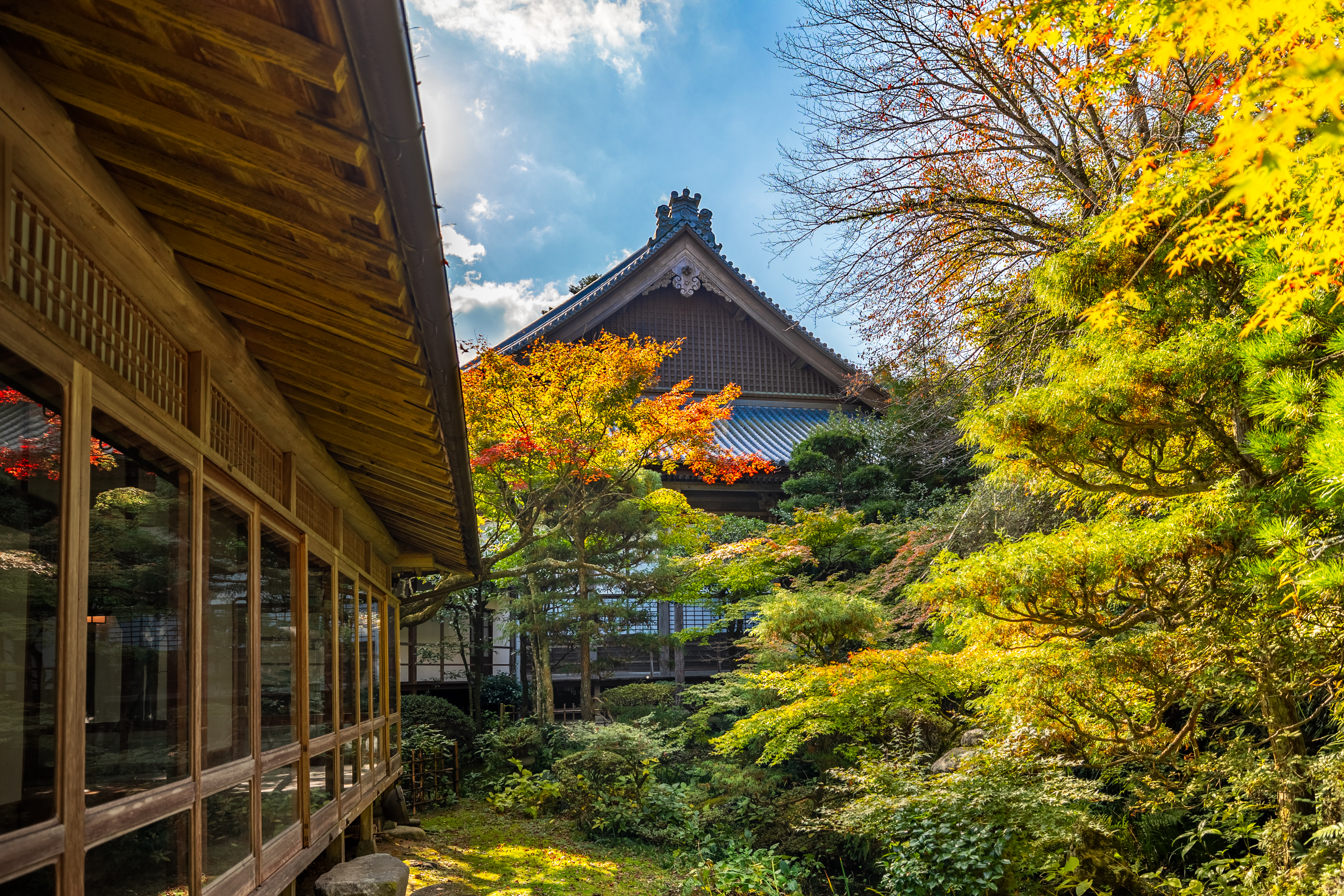 Authentic Zen Yoga Retreats in Temples